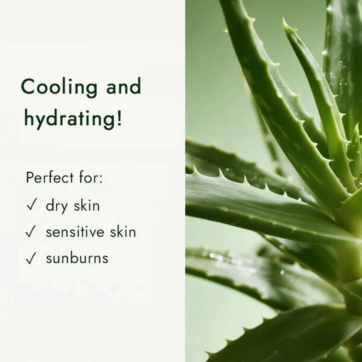Gel aloe vera NATURE REPUBLIC – Image 2